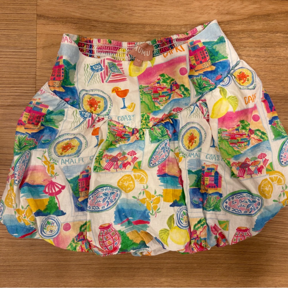 Show Me Your MuMu Multicolor Skater Skirt